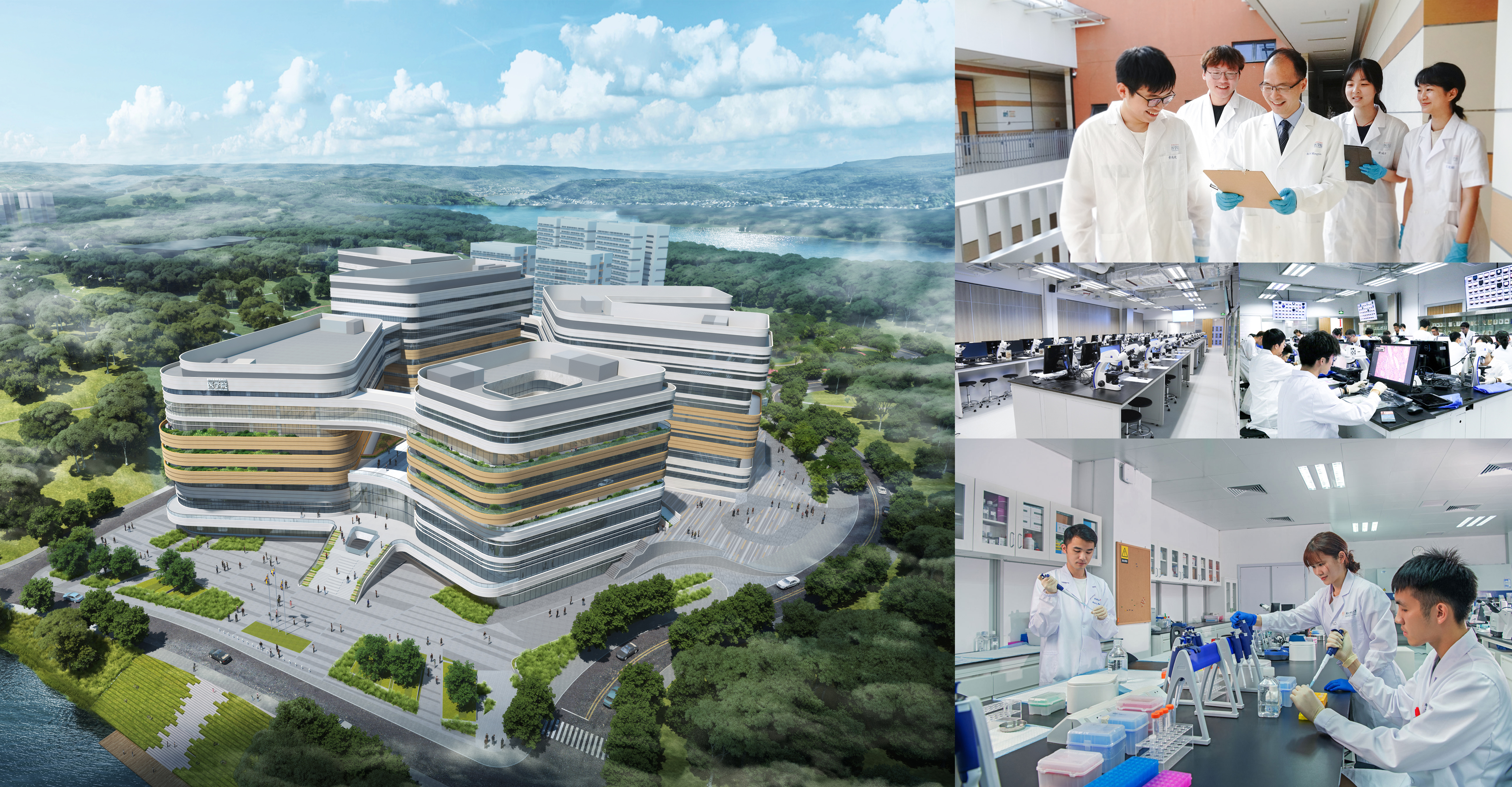 Discover School of Medicine