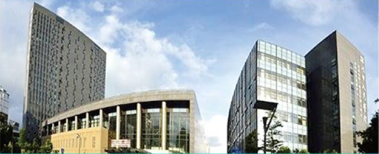 The Second Affiliated Hospital of SUSTech (Shenzhen Third People's Hospital)